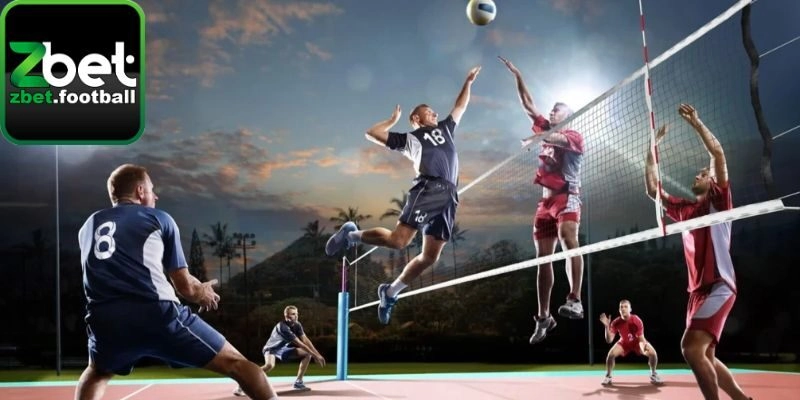 Nội dung giới thiệu sơ lược về cá cược bóng chuyền